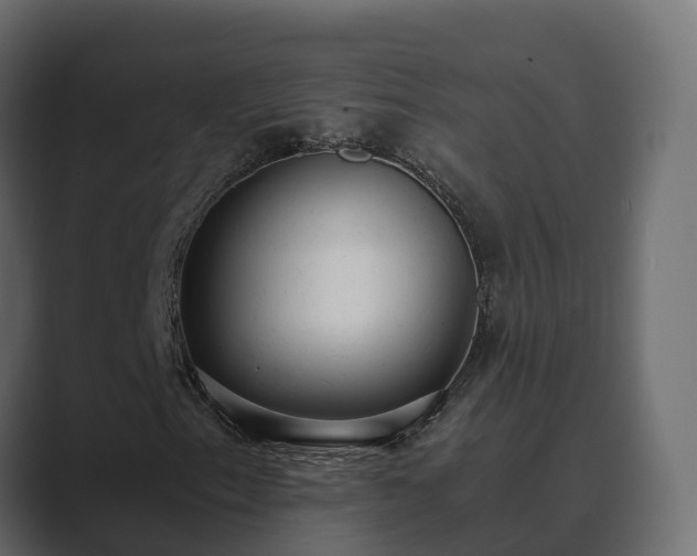 X0000089671153200706281334