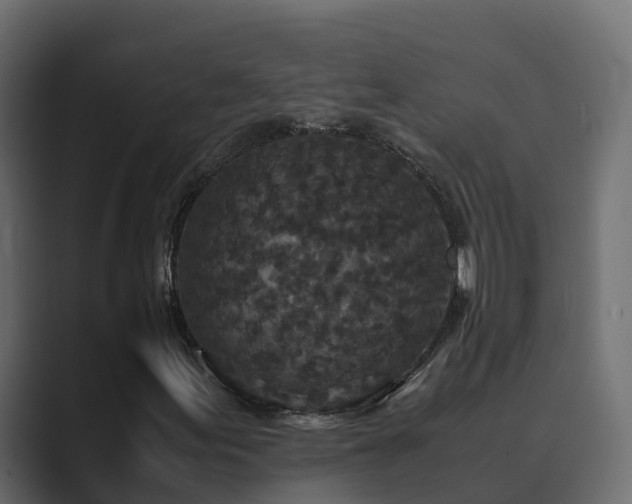 X0000089671155200706281334