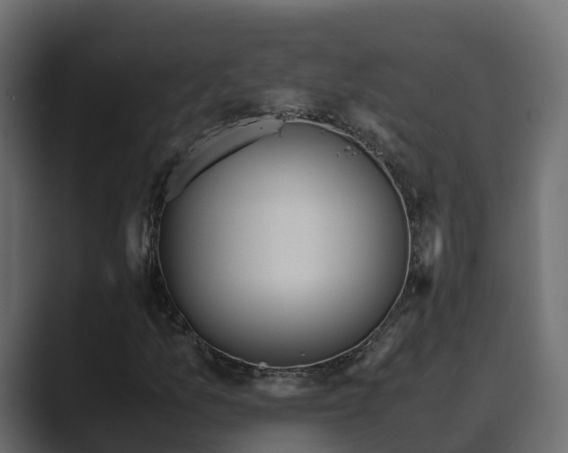 X0000089671157200706281334