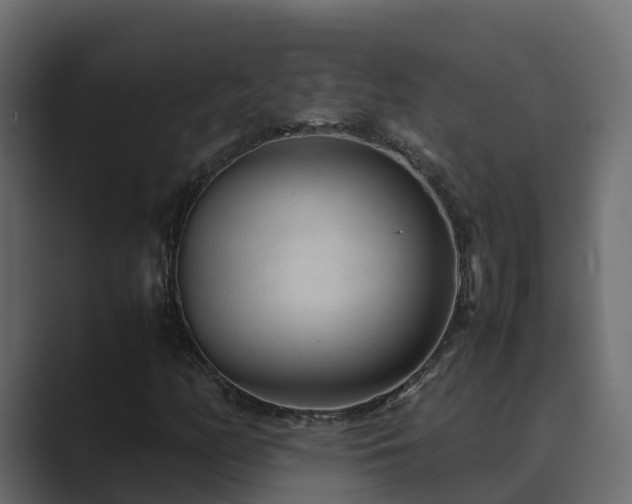 X0000089671158200706281334
