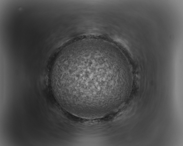 X0000089671159200706281334