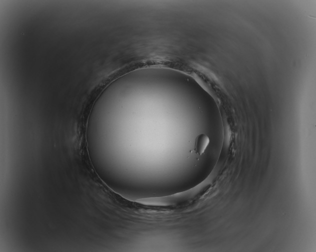 X0000089671160200706281334