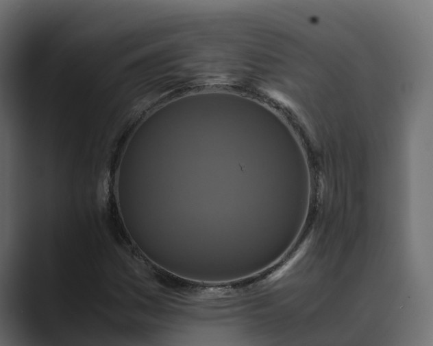 X0000089671161200706281334
