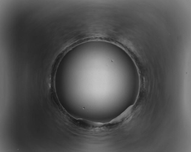 X0000089671165200706281334