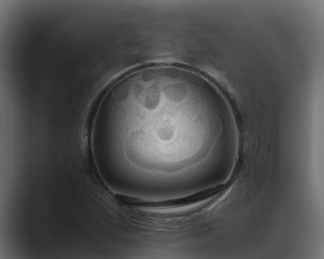 X0000089671167200706281334