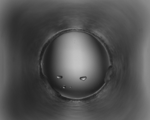 X0000089671168200706281334