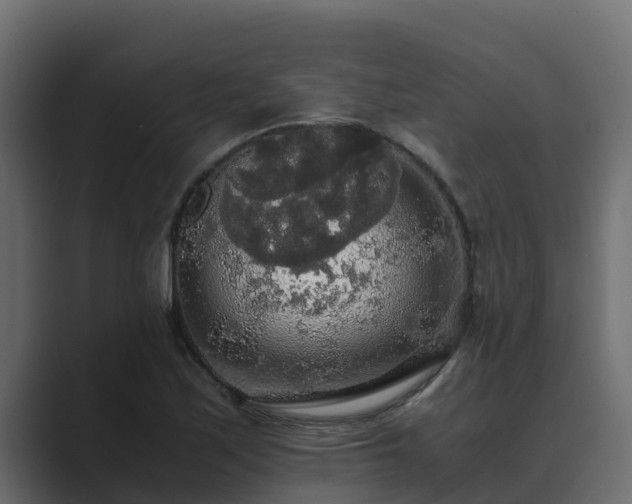 X0000089671171200706281334