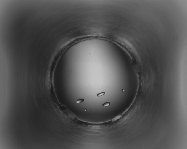 X0000089671172200706281334