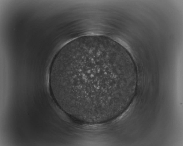 X0000089671179200706281334