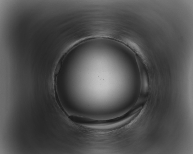 X0000089671184200706281334