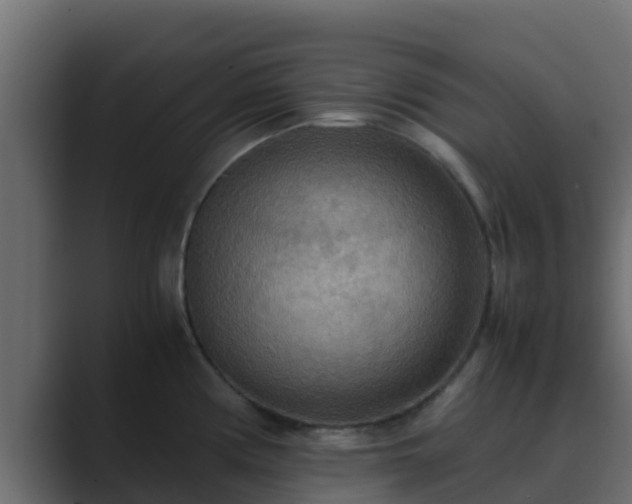 X0000089671194200706281334