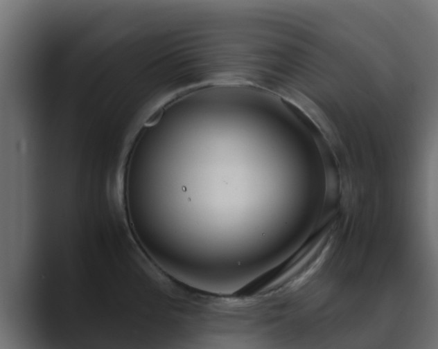X0000089671196200706281334
