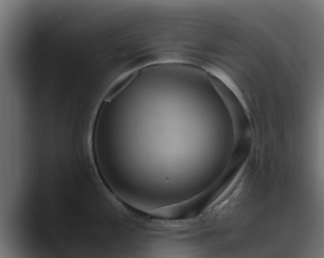 X0000089671197200706281334