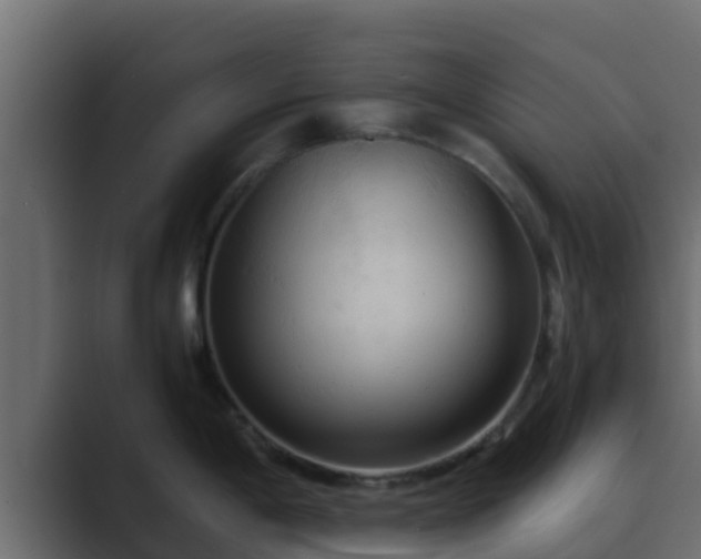 X0000089671198200706281334