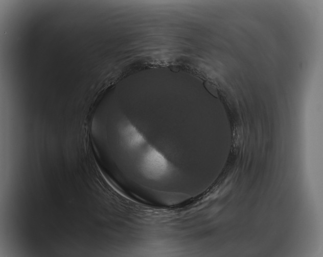 X0000089671202200706281333