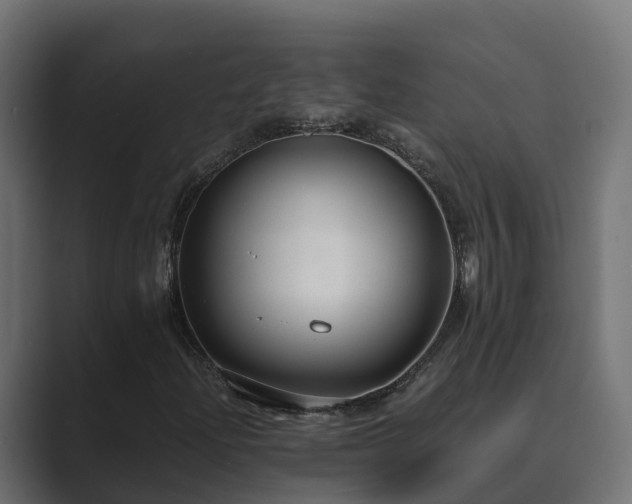 X0000089671204200706281333