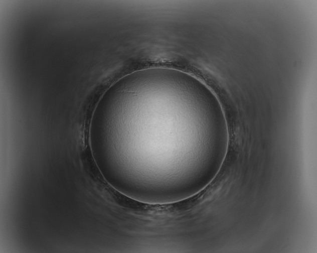X0000089671205200706281333