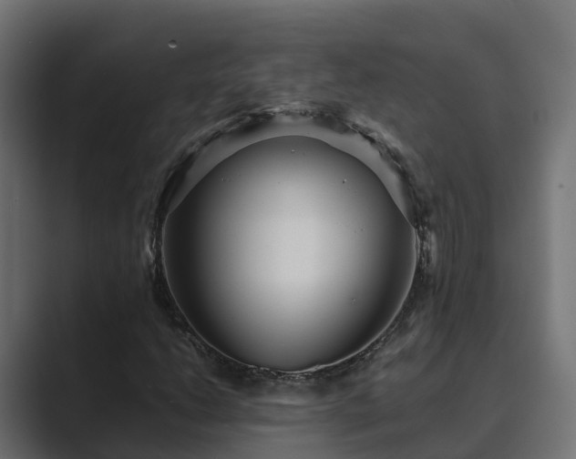 X0000089671206200706281333
