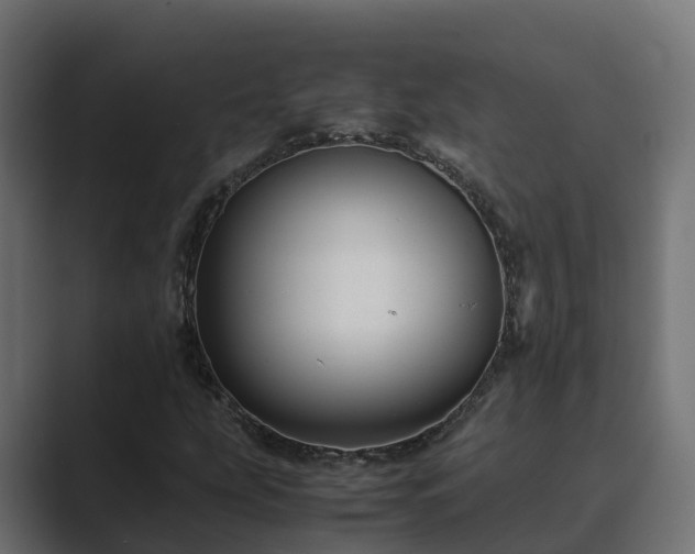 X0000089671207200706281333