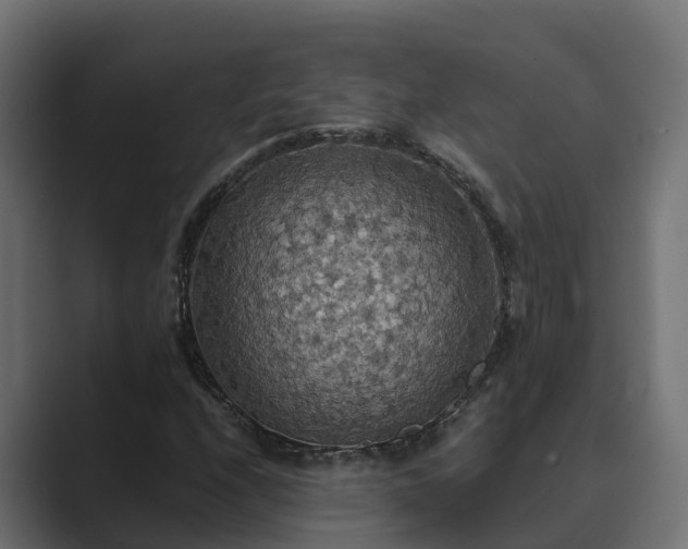 X0000089671208200706281333