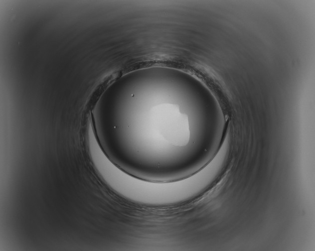 X0000089671210200706281333