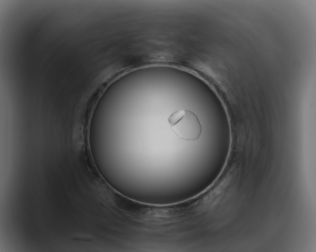 X0000089671211200706281333