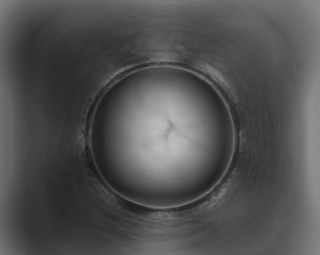 X0000089671212200706281333