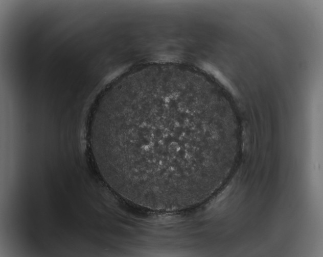 X0000089671213200706281333