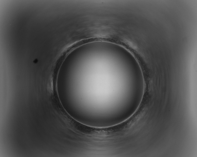 X0000089671214200706281333
