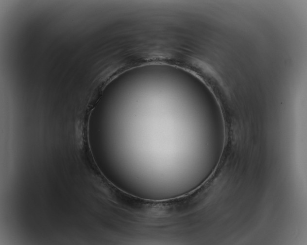 X0000089671217200706281333