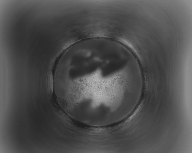 X0000089671219200706281333