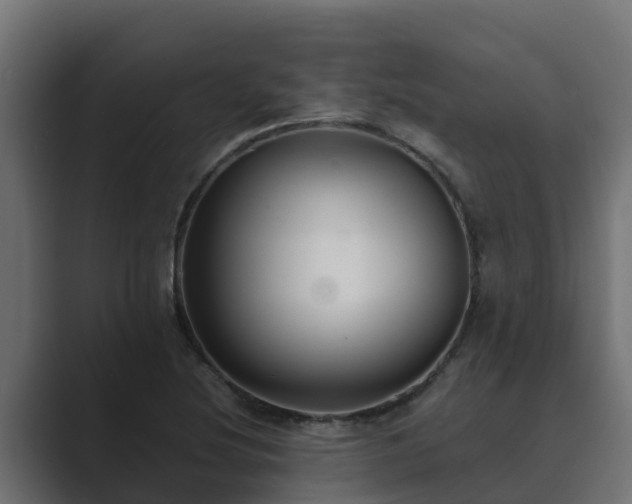 X0000089671220200706281333
