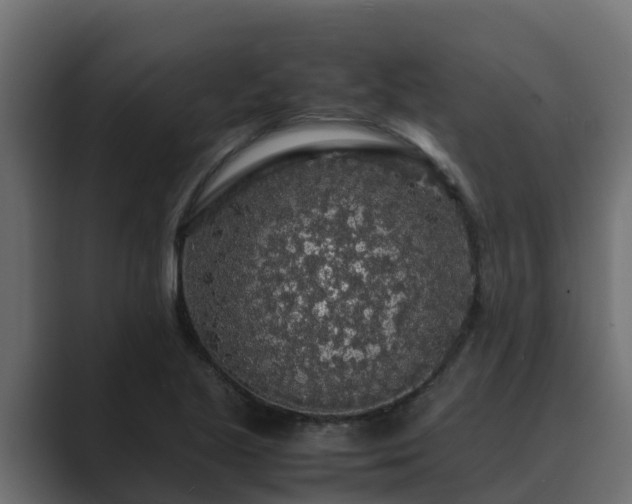 X0000089671221200706281333