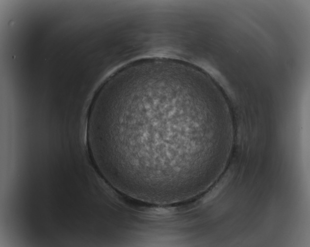 X0000089671224200706281333