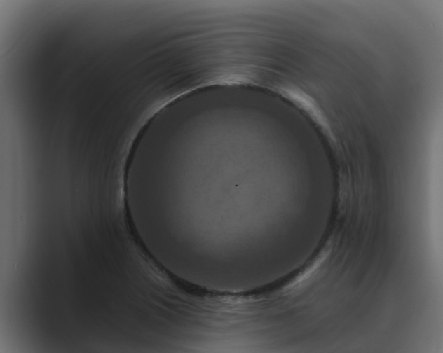 X0000089671226200706281333