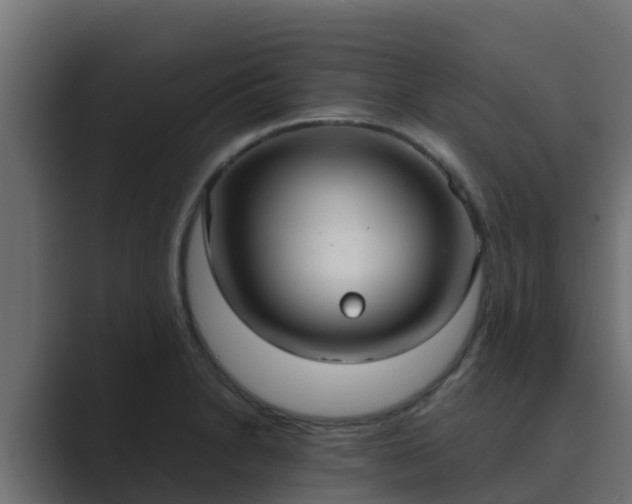 X0000089671230200706281333