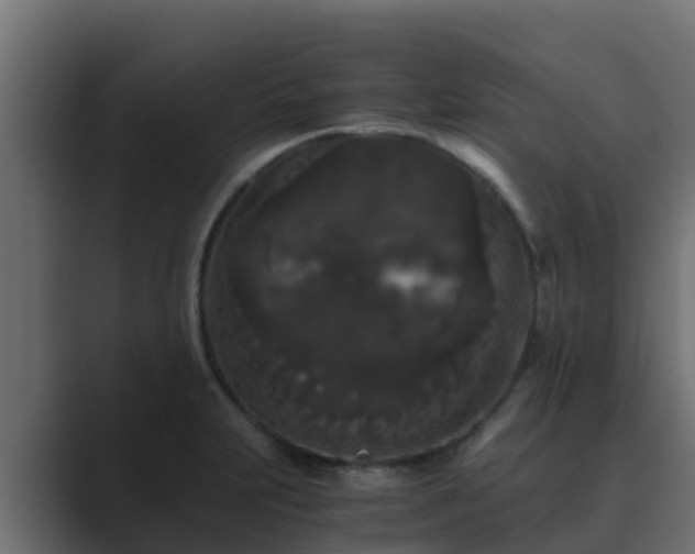 X0000089671231200706281333