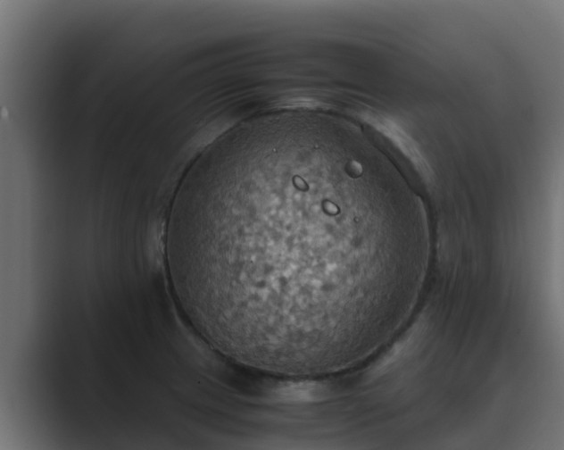 X0000089671233200706281333
