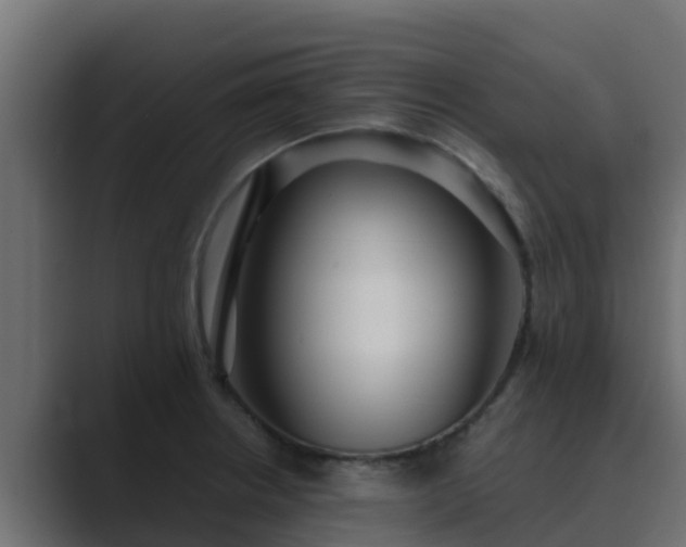 X0000089671234200706281333