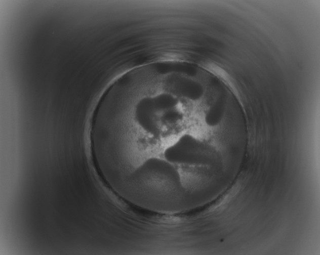 X0000089671235200706281333