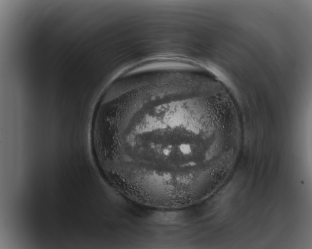 X0000089671237200706281334