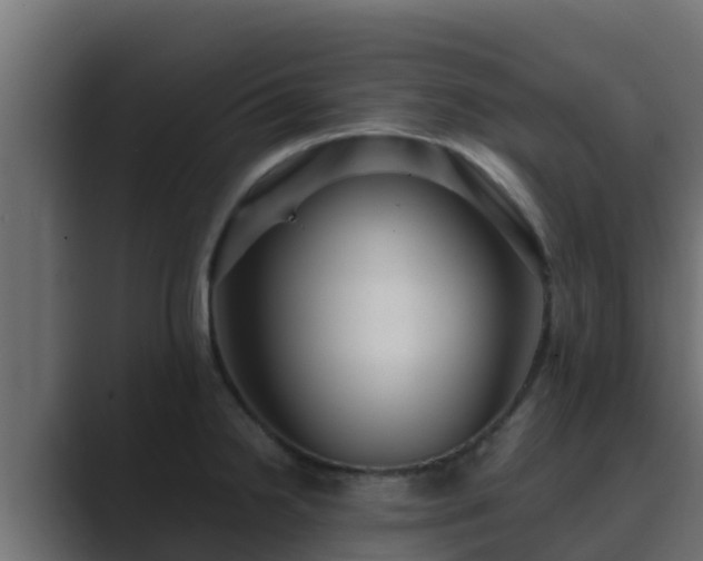 X0000089671238200706281334