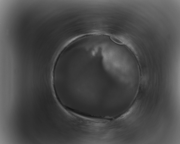 X0000089671239200706281334
