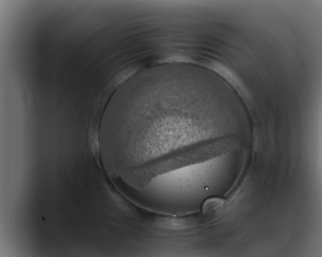 X0000089671241200706281334