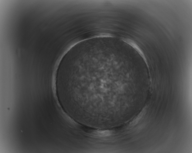 X0000089671243200706281334