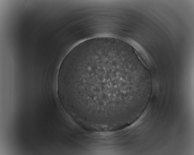 X0000089671244200706281334