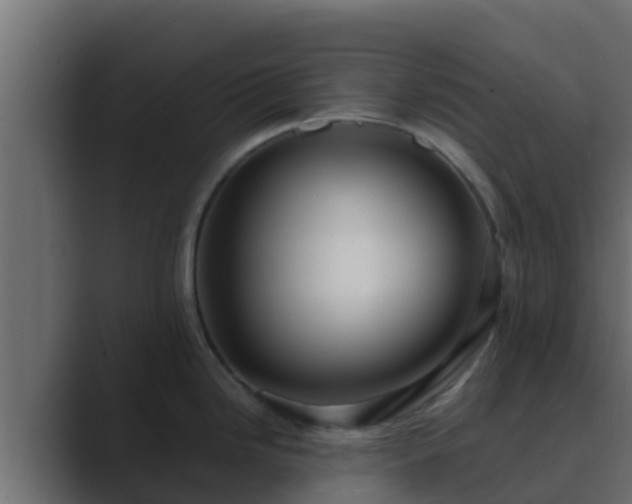 X0000089671246200706281334
