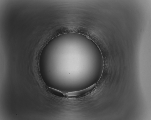 X0000089671249200706281333