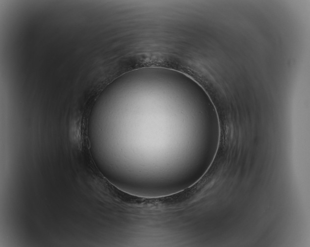 X0000089671250200706281333