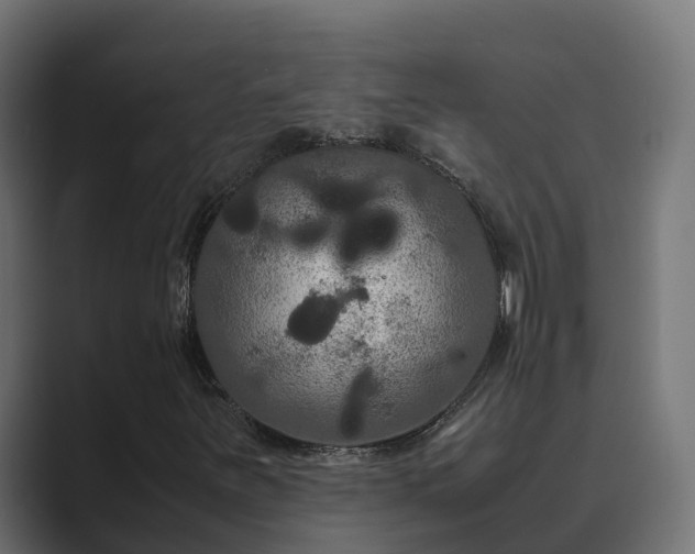 X0000089671251200706281333